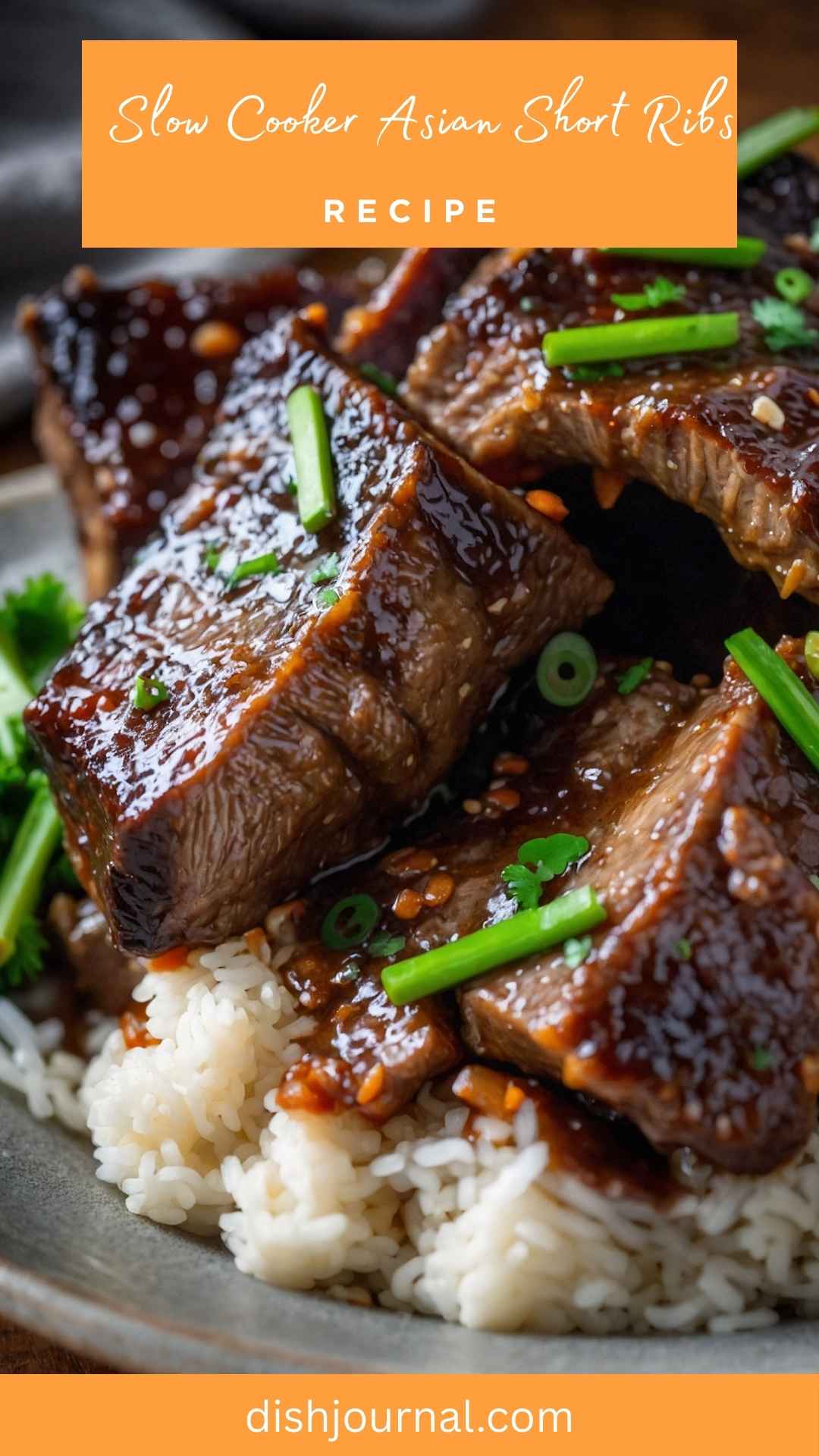 Slow Cooker Asian Short Ribs Recipe - Dish Journal